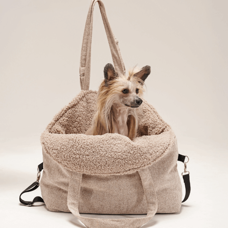 Torba i fotelik do auta dla psa baranek Mania