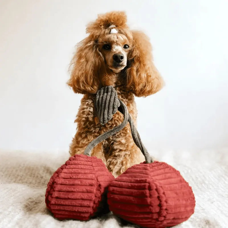 Zabawka węchowa Wiśnie psykryj mnie