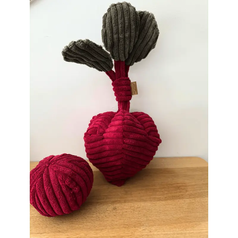 Zabawka węchowa Burak psykryj mnie