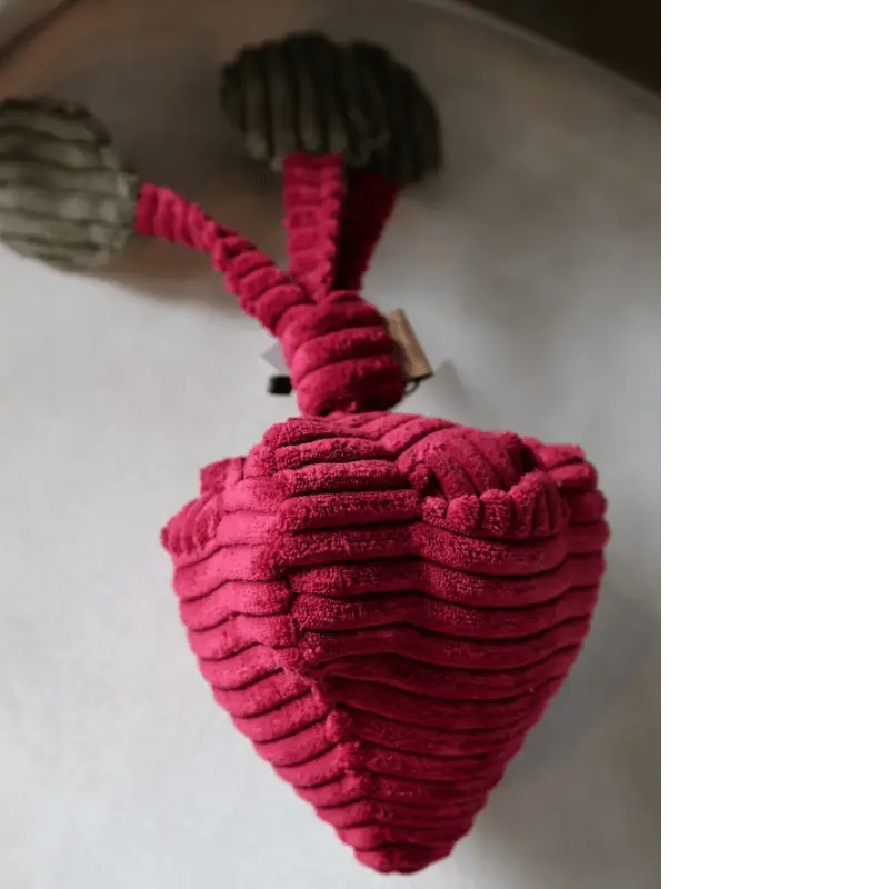 Zabawka węchowa Burak psykryj mnie