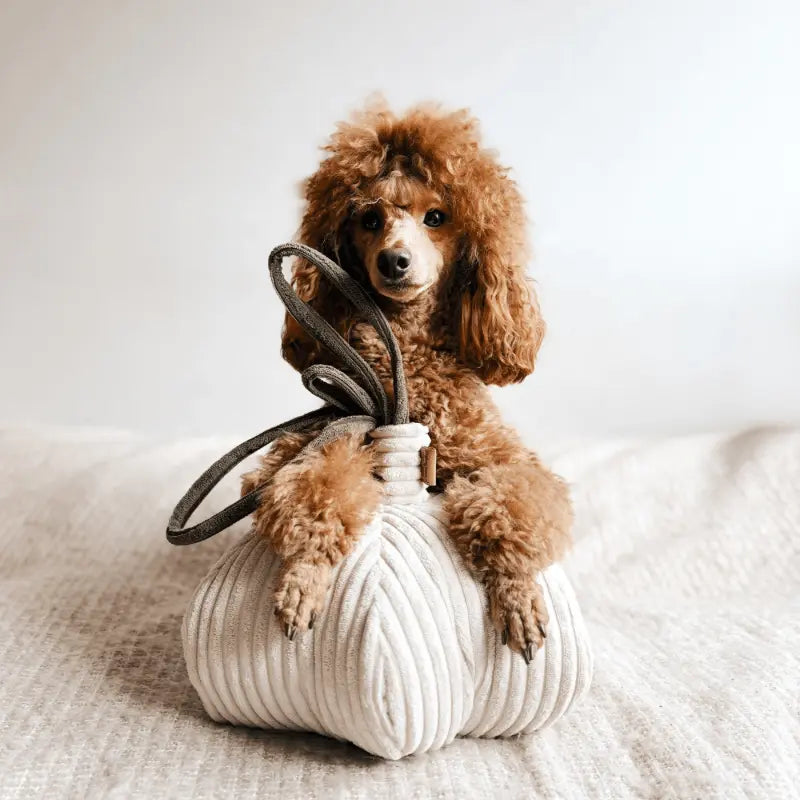 Zabawka węchowa Czosnek psykryj mnie