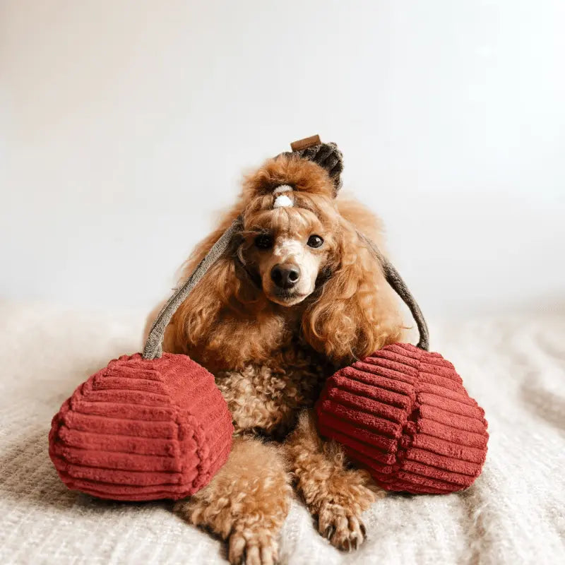 Zabawka węchowa Wiśnie psykryj mnie