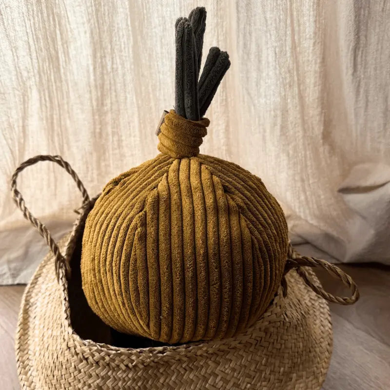 Zabawka węchowa Cebula psykryj mnie