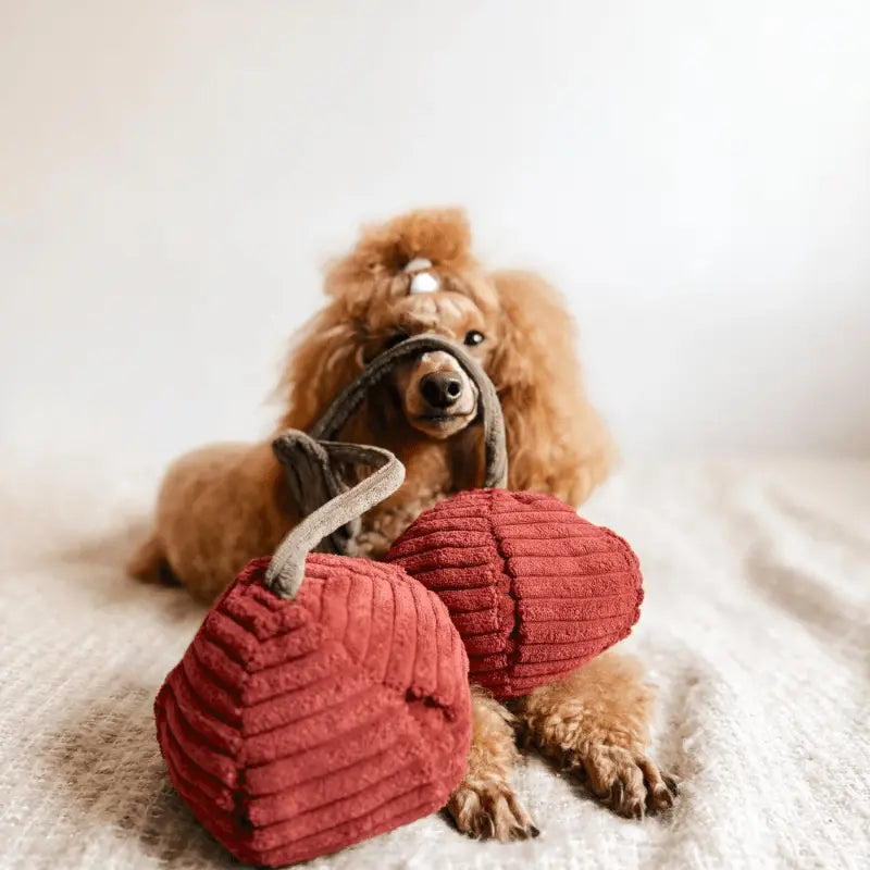 Zabawka węchowa Wiśnie psykryj mnie